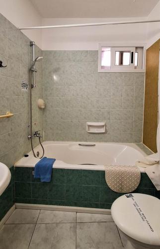 1APT102-20240619_162114