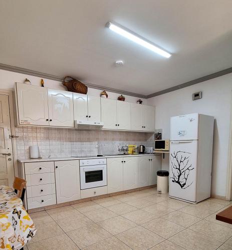 1APT11-20240629_123512