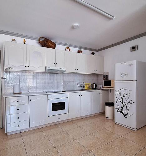 1APT11-20240629_123528