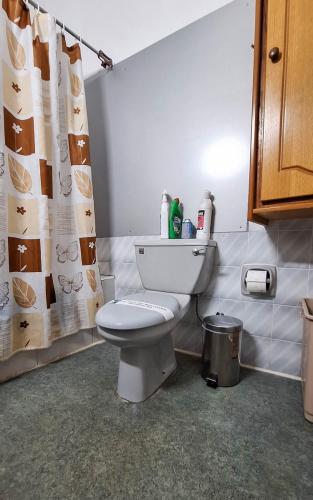 2APT17-20240619_155053
