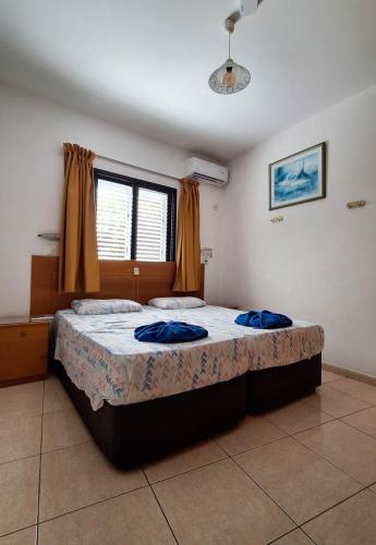 2APT17-20240619_155302