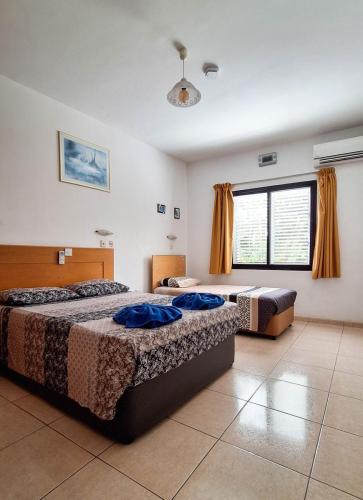 2APT17-20240619_155618